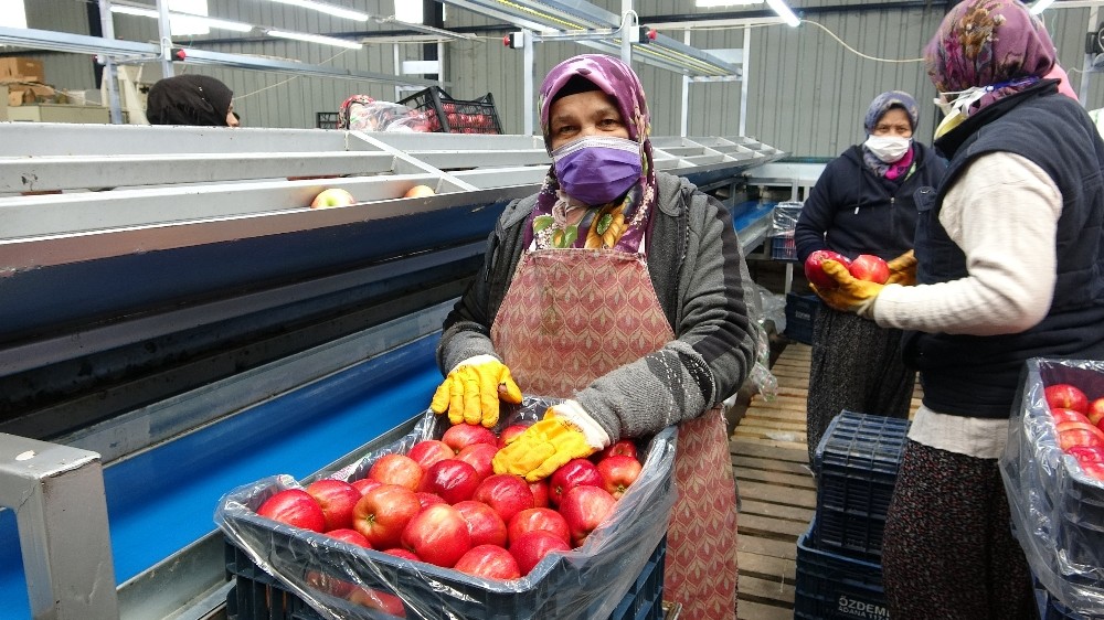 Depoda 2.80 TL’ye satılan elma market ve pazarlarda 8-10 TL