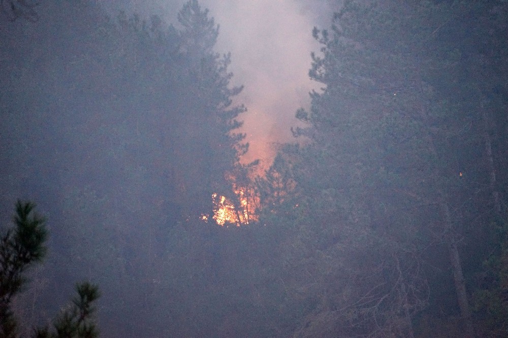 Kastamonu’da 3 ev ve ormanlık alanı kül eden yangın sürüyor