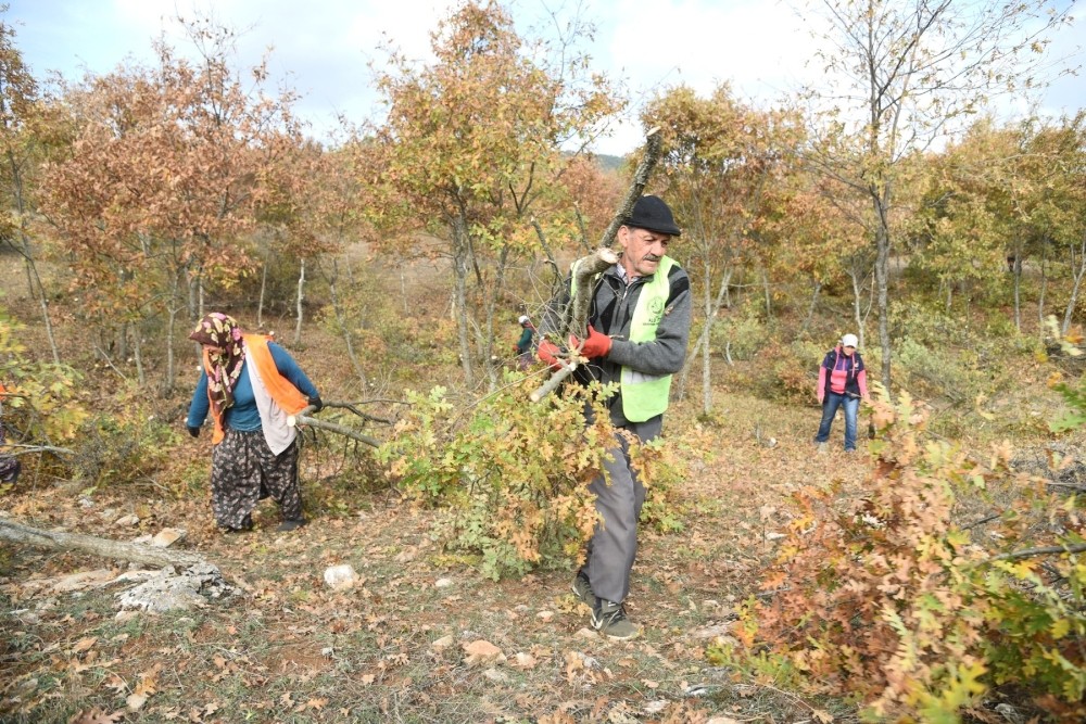 Alpu’da orman yatırımları yüzleri güldürüyor