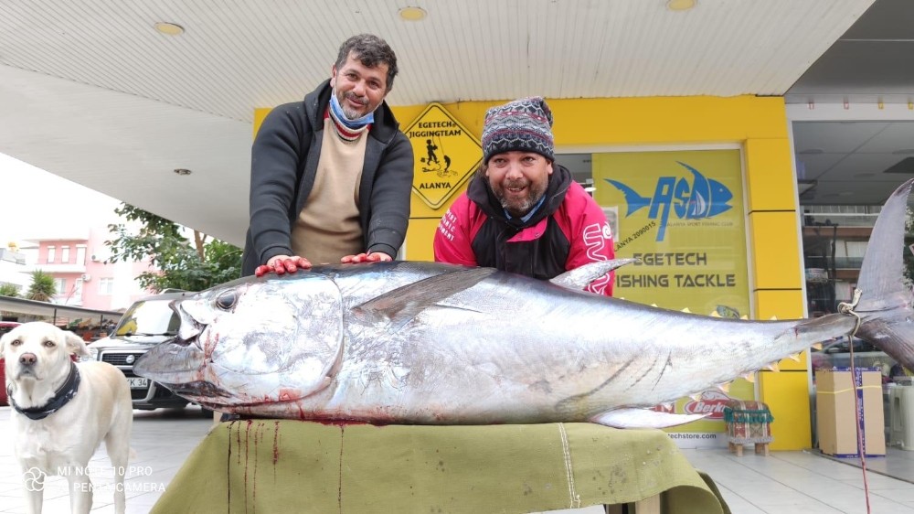 Antalya’da balıkçının oltasına 85 kiloluk orkinos takıldı