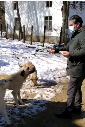 Belediye başkanı kendi elleriyle sokak hayvanlarını besledi