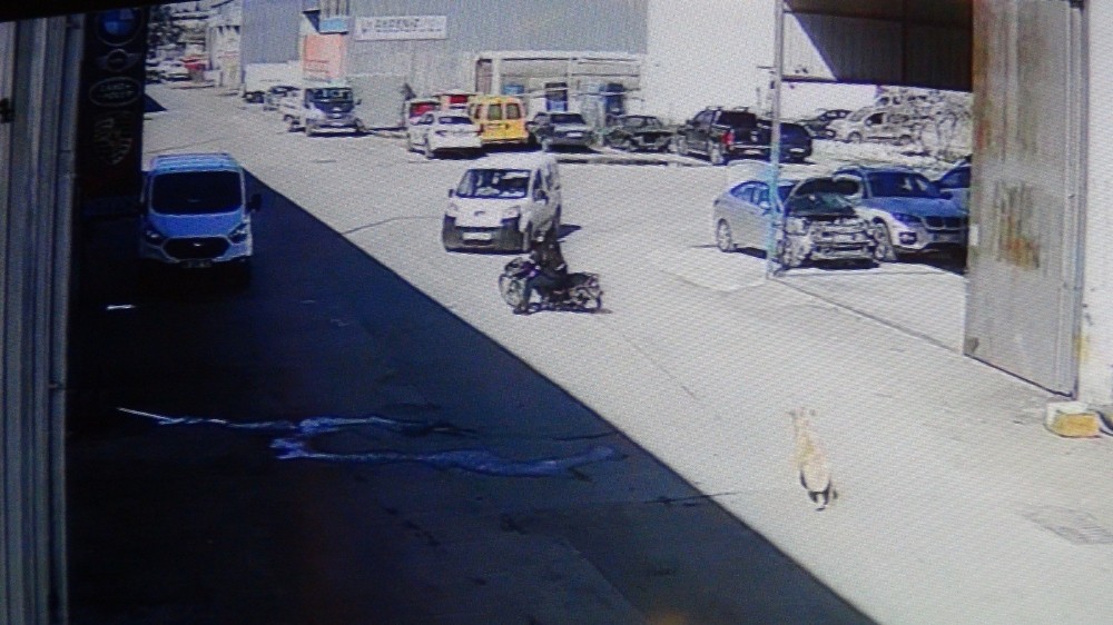 Köpekten korkan motosikletli otomobile çarptı: 1 yaralı