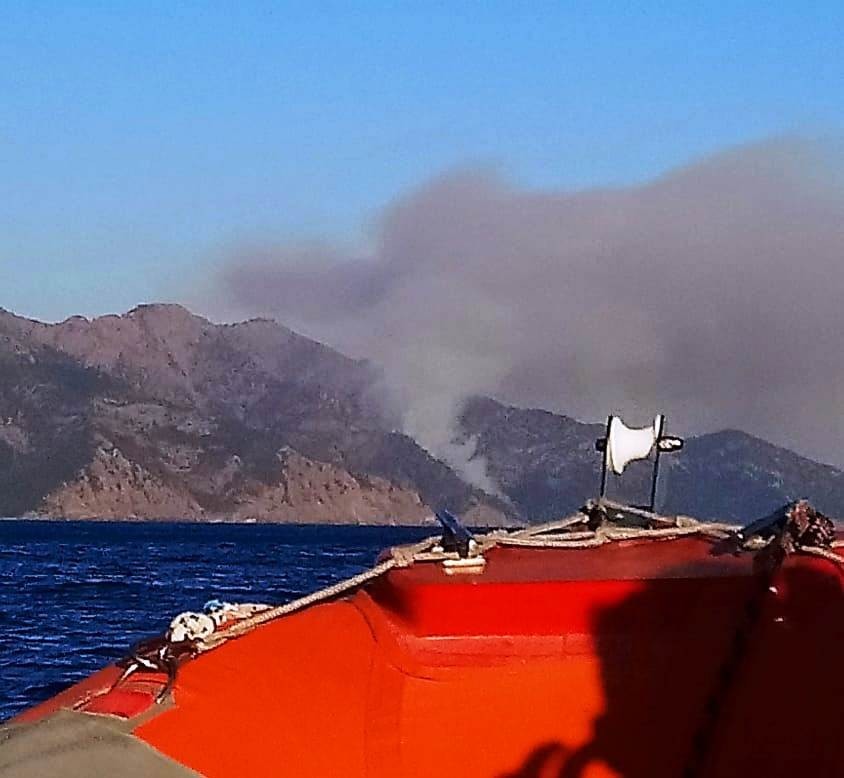 Marmaris'te orman yangını - Muğla Haberleri