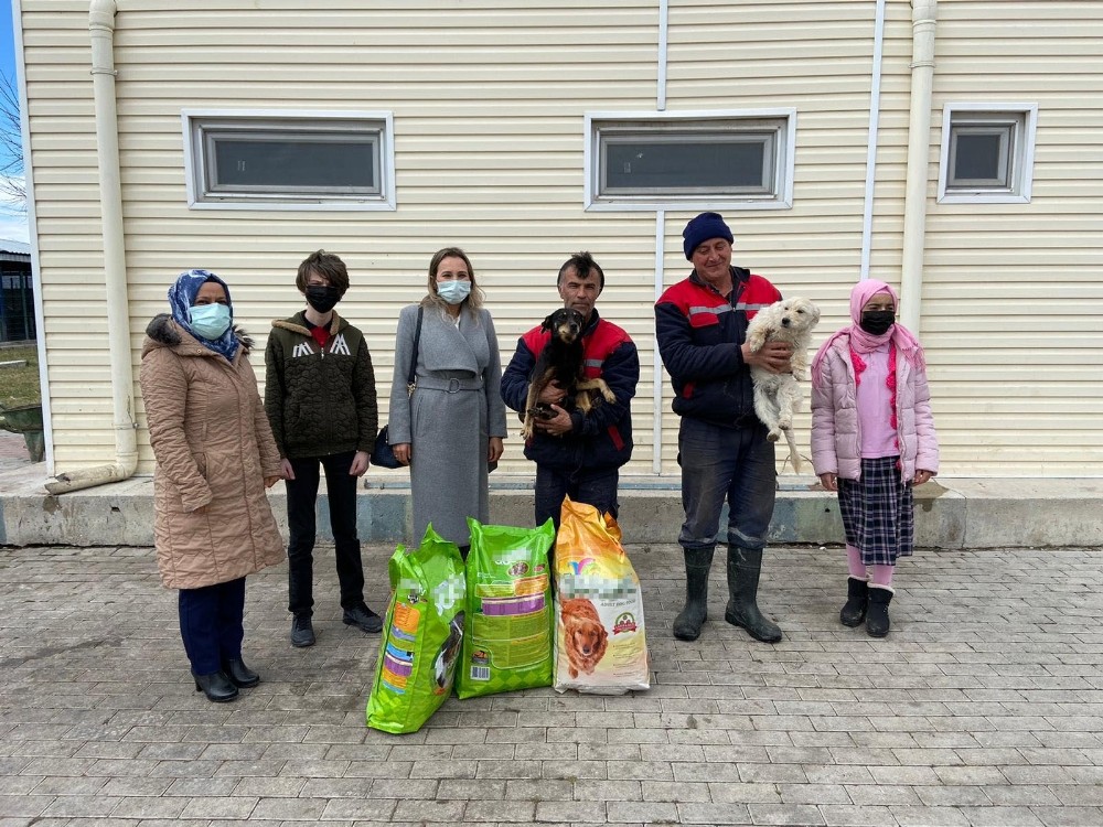 Bir ton atık kağıt toplayıp hayvanlara can oldular