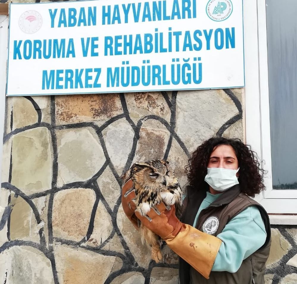 Yaralı kuşlar tedavi altına alındı