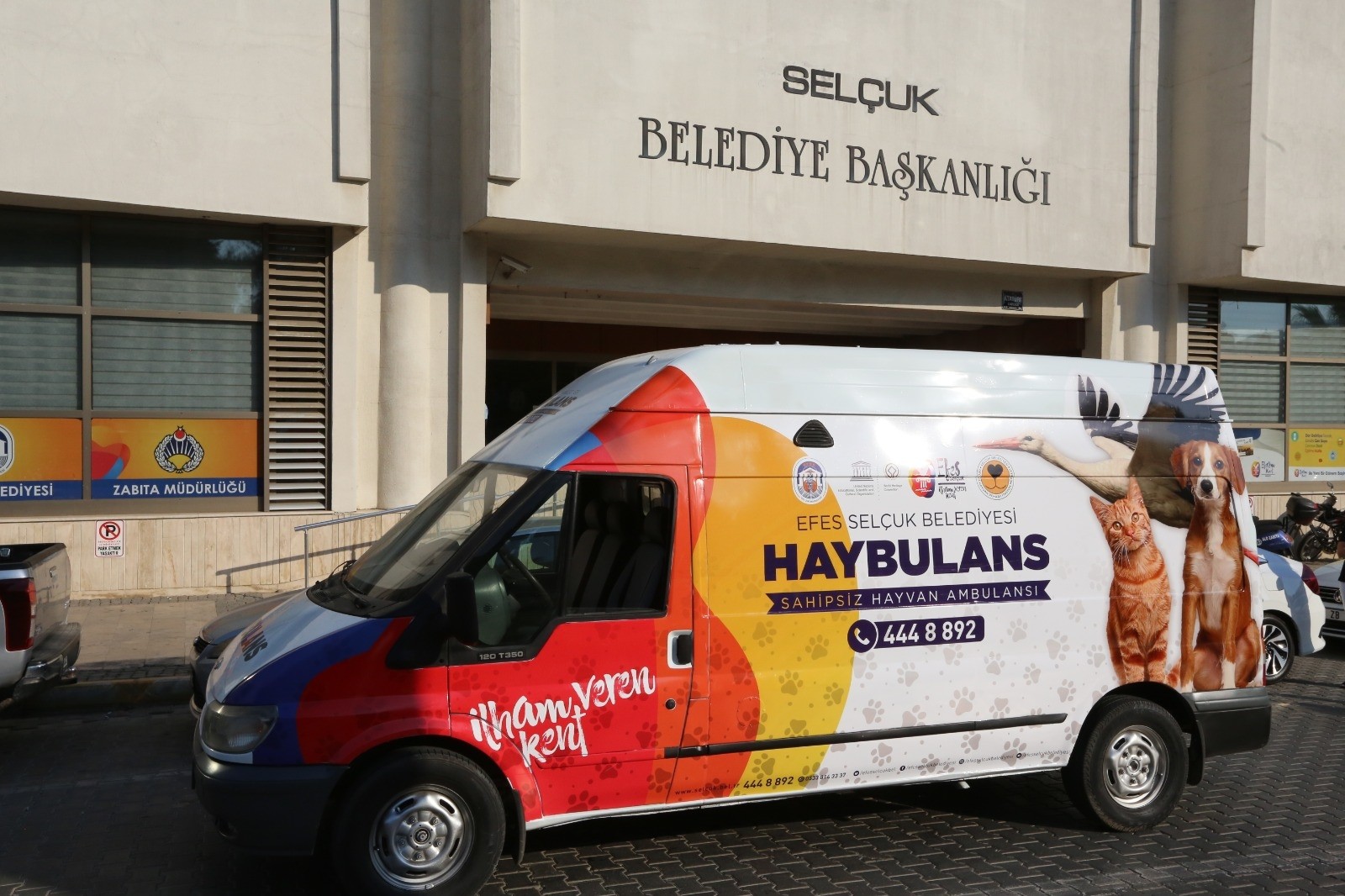 selcuk belediyesi pandemide sokak hayvanlari yalniz birakmadi izmir haberleri