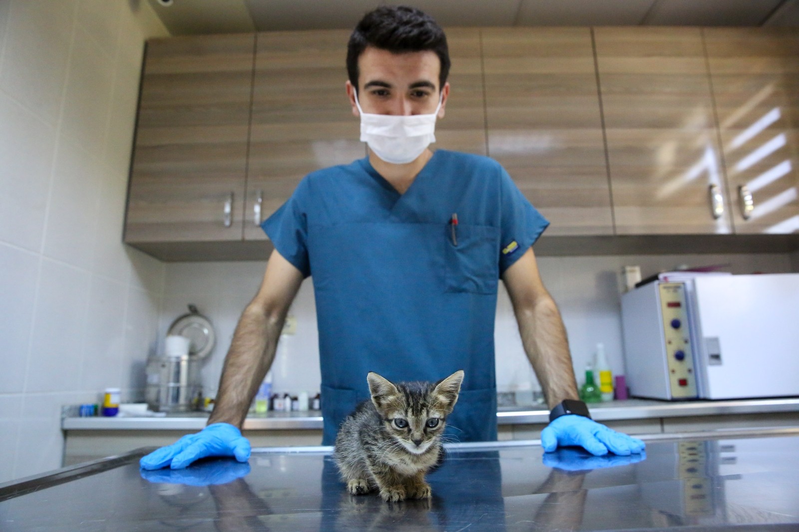 sokak hayvanlari buca da yalniz degil izmir haberleri