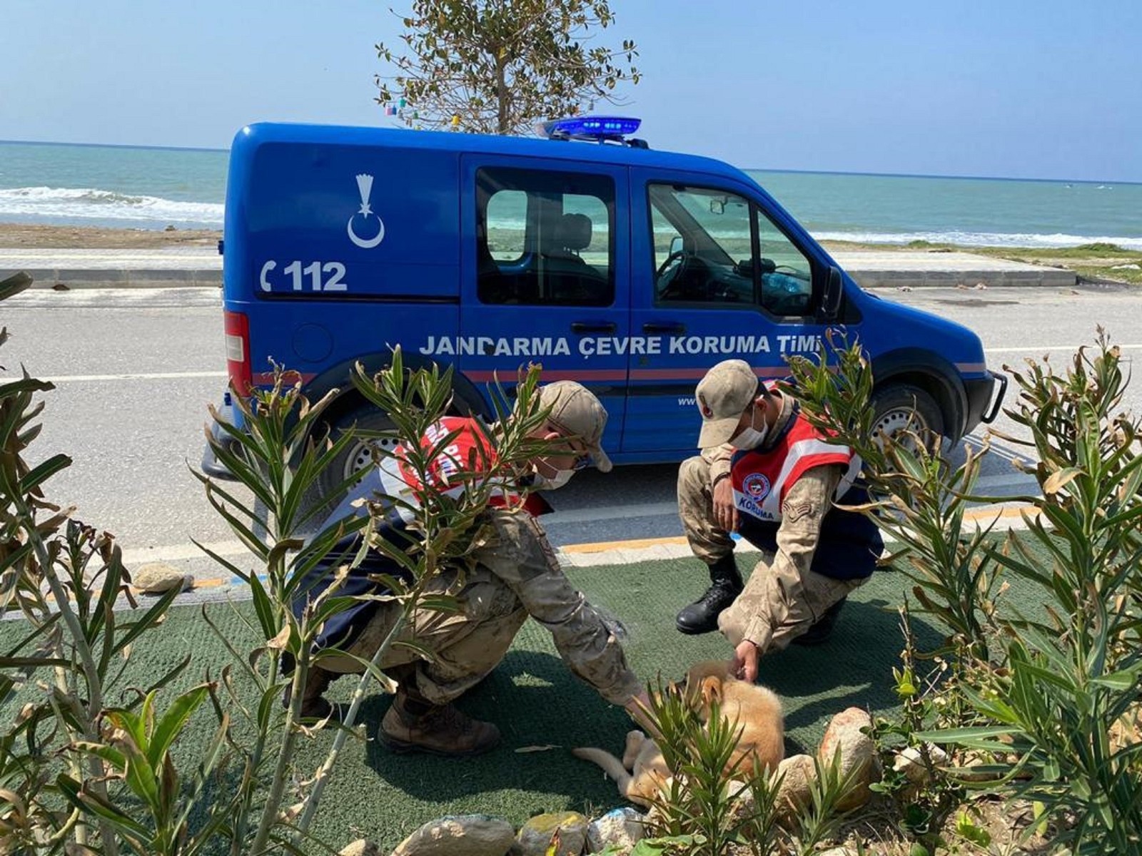 Jandarma sokak hayvanları unutmadı