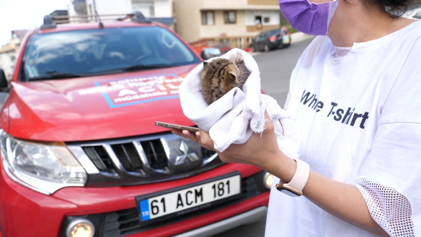 Annesiz kalan minik kedi yavrusu yeni annesine kavuştu Trabzon Haberleri