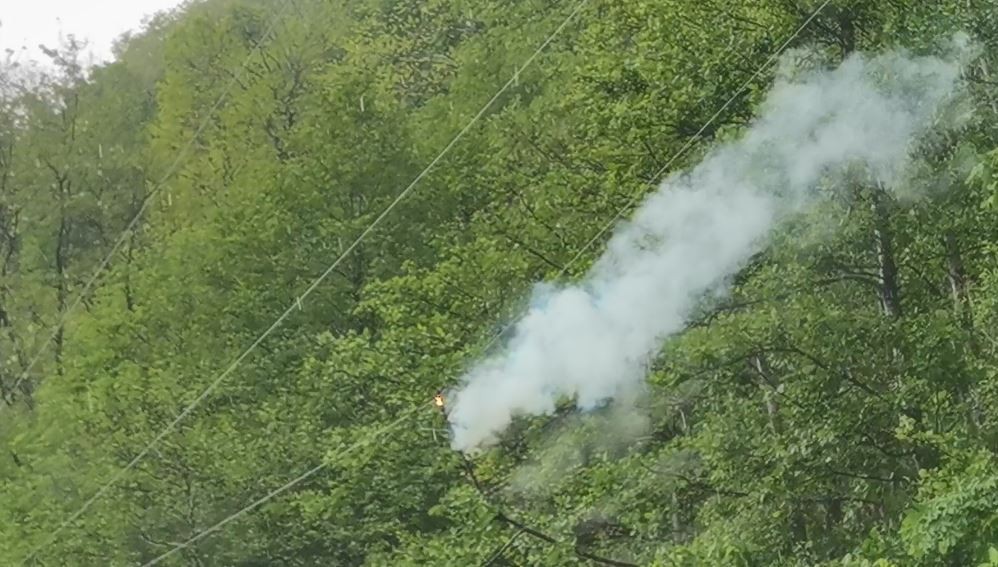 Artvin’de şiddetli rüzgar ağaçları devirdi