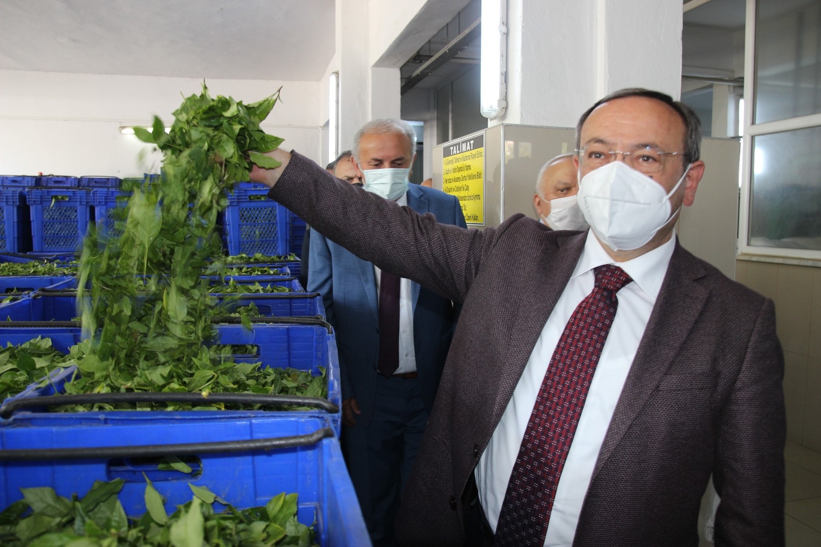 ÇAYKUR yaş çay alım kampanyasını törenle başlattı