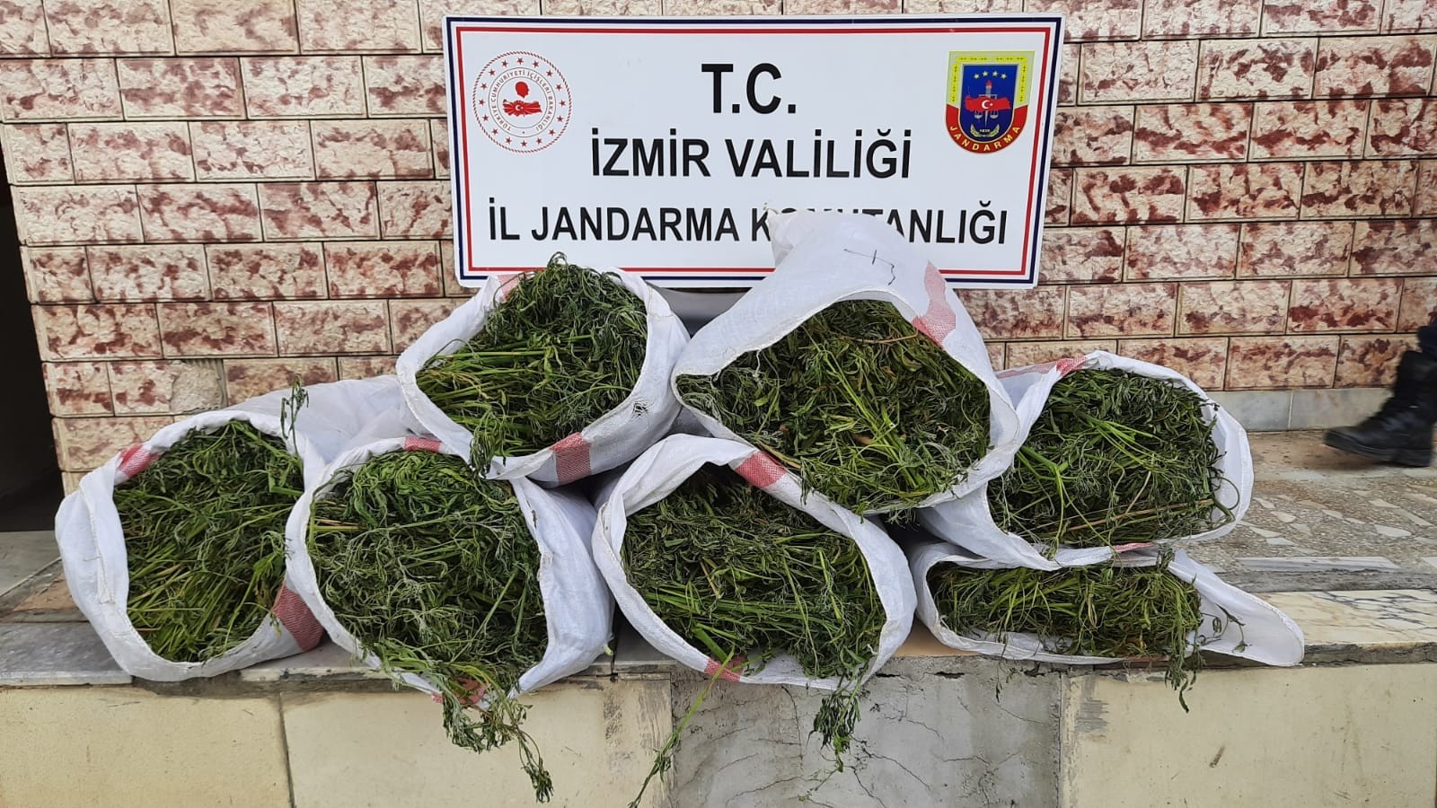 İzmir’de 5 ilçede uyuşturucu operasyonları: 6 gözaltı
