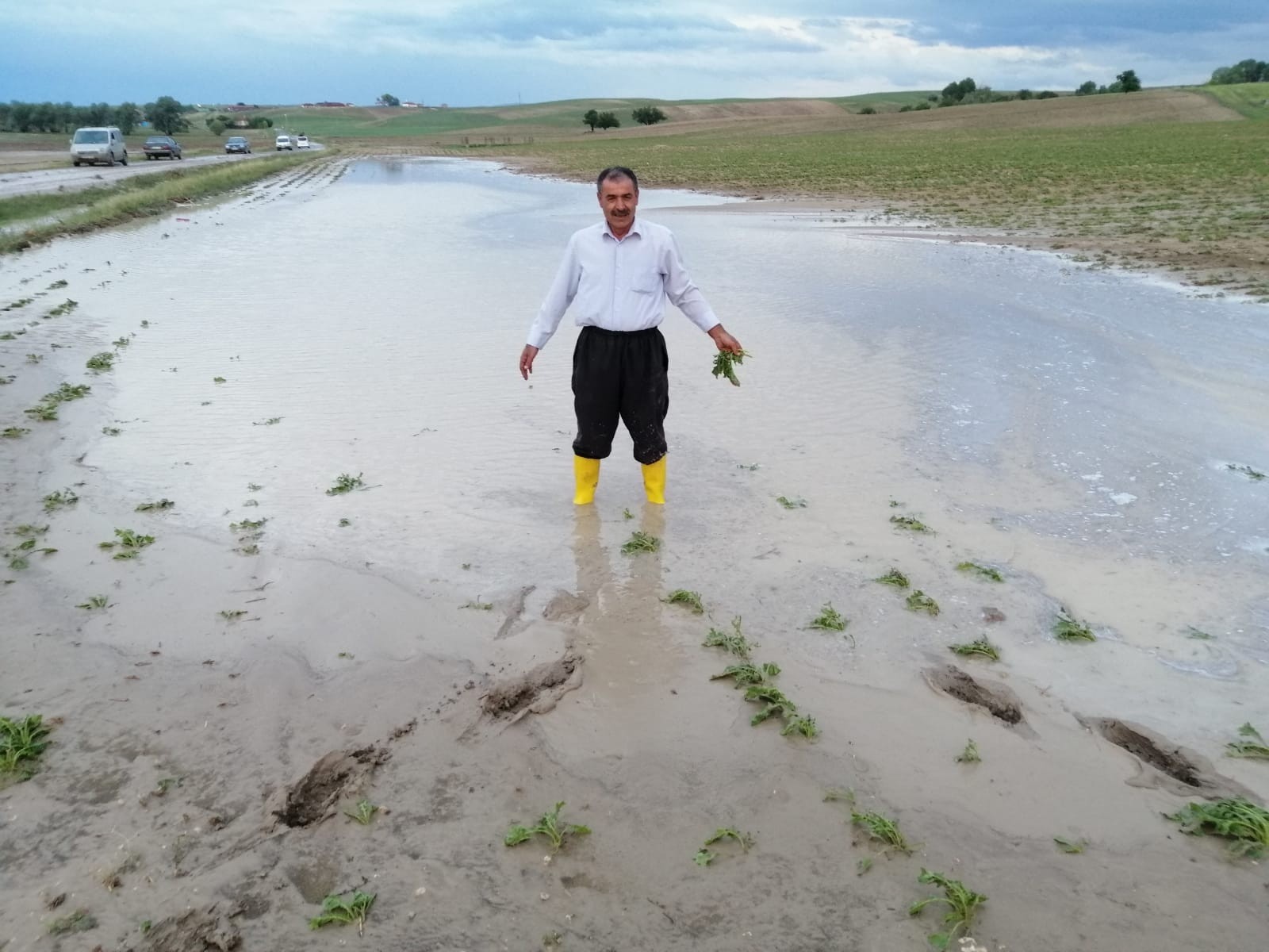Yozgat’ta sel ekili tarım alanlarına zarar verdi