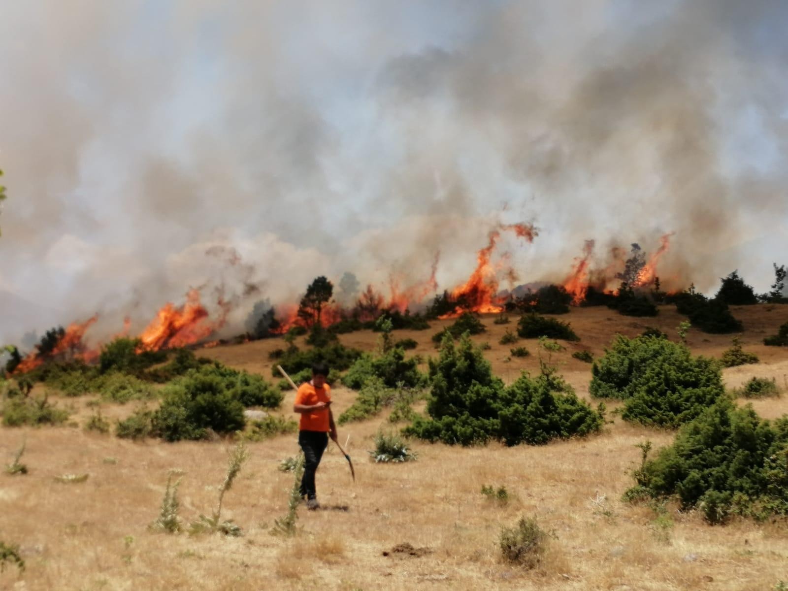 Bingöl’de  orman yangını büyümeden söndürüldü