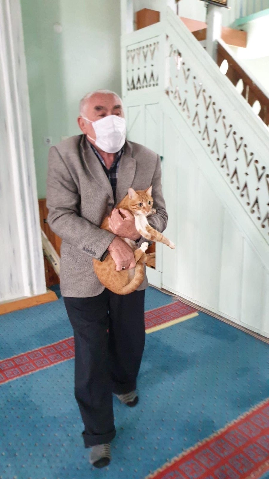 Saimbeyli’de cami görevlileri ve cemaat sokak hayvanlarına sahip çıkıyor