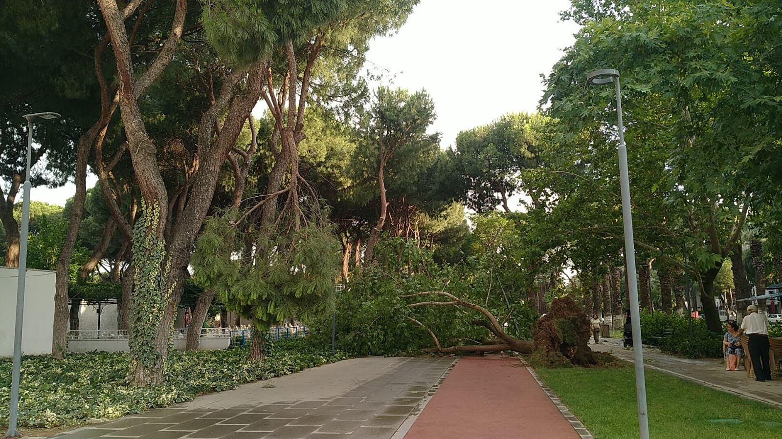 Ödemiş ve Kiraz’da fırtına etkili oldu: Çatılar uçtu, ağaçlar devrildi