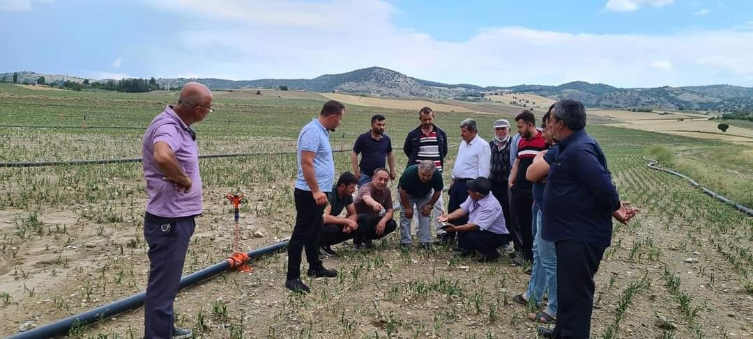 Çorum’da tarım alanlarını dolu vurdu