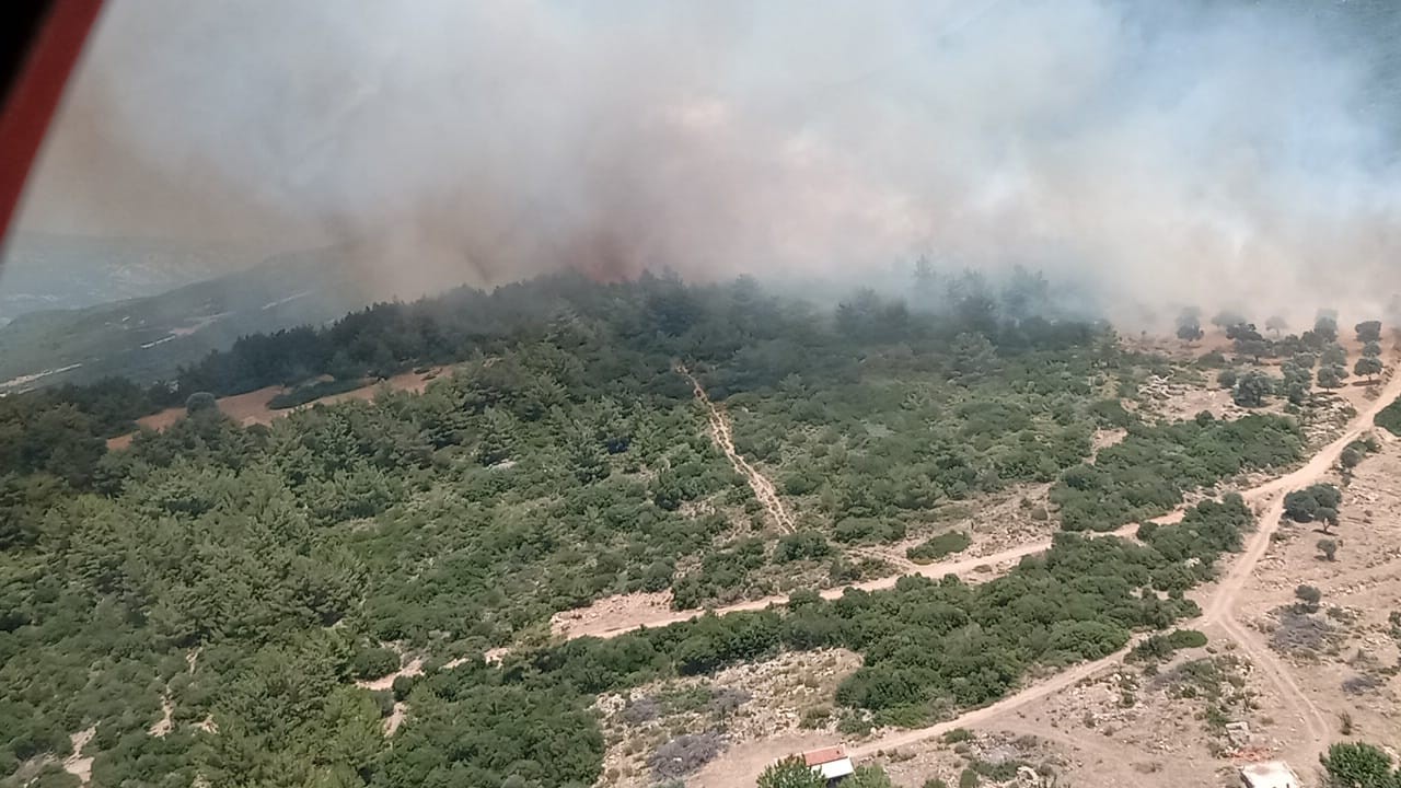 İzmir’de makilik alanda çıkan orman yangını kontrol altında