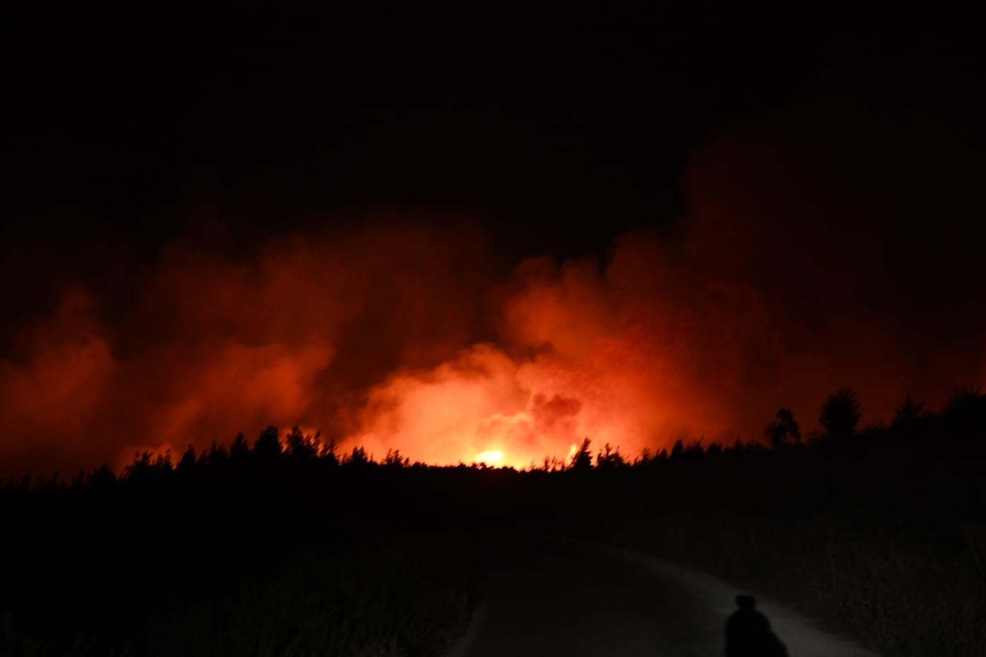 Adana Aladağ’da orman yangını