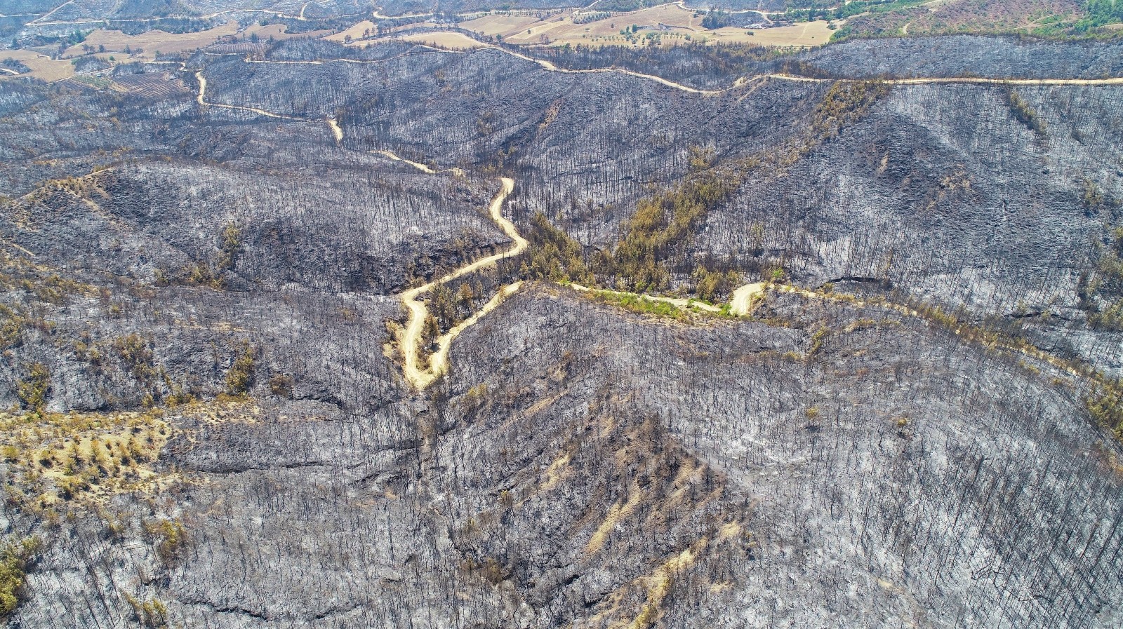 Aladağ’da yanan ormanlık alanlar drone ile görüntülendi