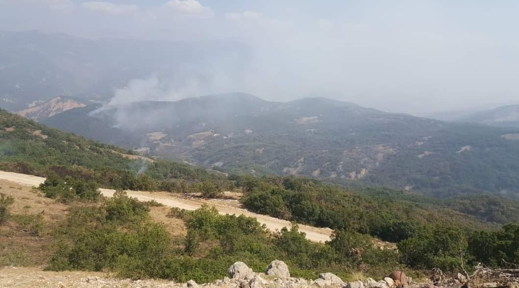 Tunceli’deki orman yangınında soğutma çalışmaları sürüyor