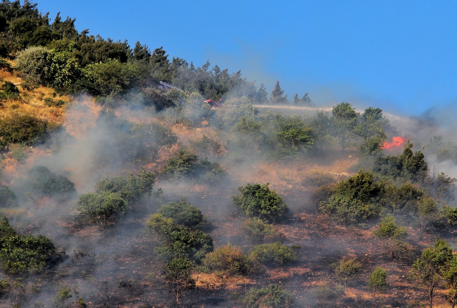 Kahramanmaraş’taki orman yangınları büyümeden söndürüldü