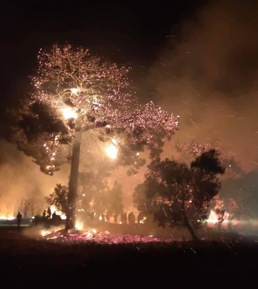 Tavaklı’daki orman yangını kontrol altına alındı