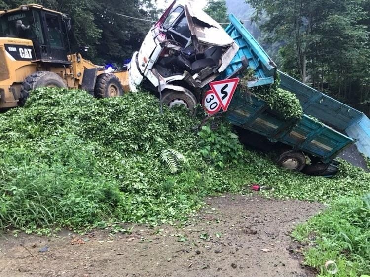 Kontrolden çıkan çay yüklü kamyon tarım arazisine girdi: 2 yaralı