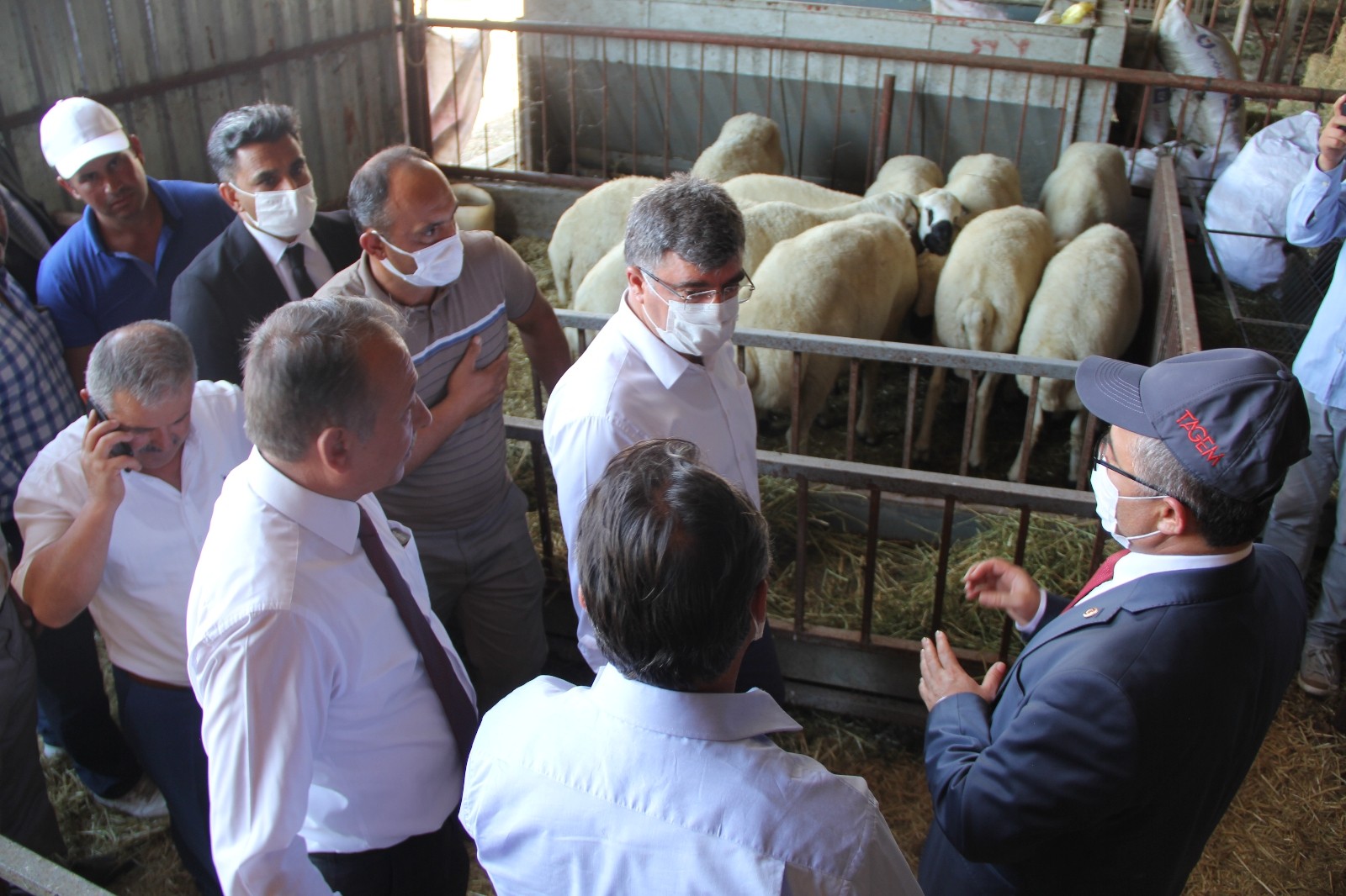 TAGEM Genel Müdürü Dr. Nevzat Birışık: Hedefimiz dünyaya damızlık hayvan satışı yapmak