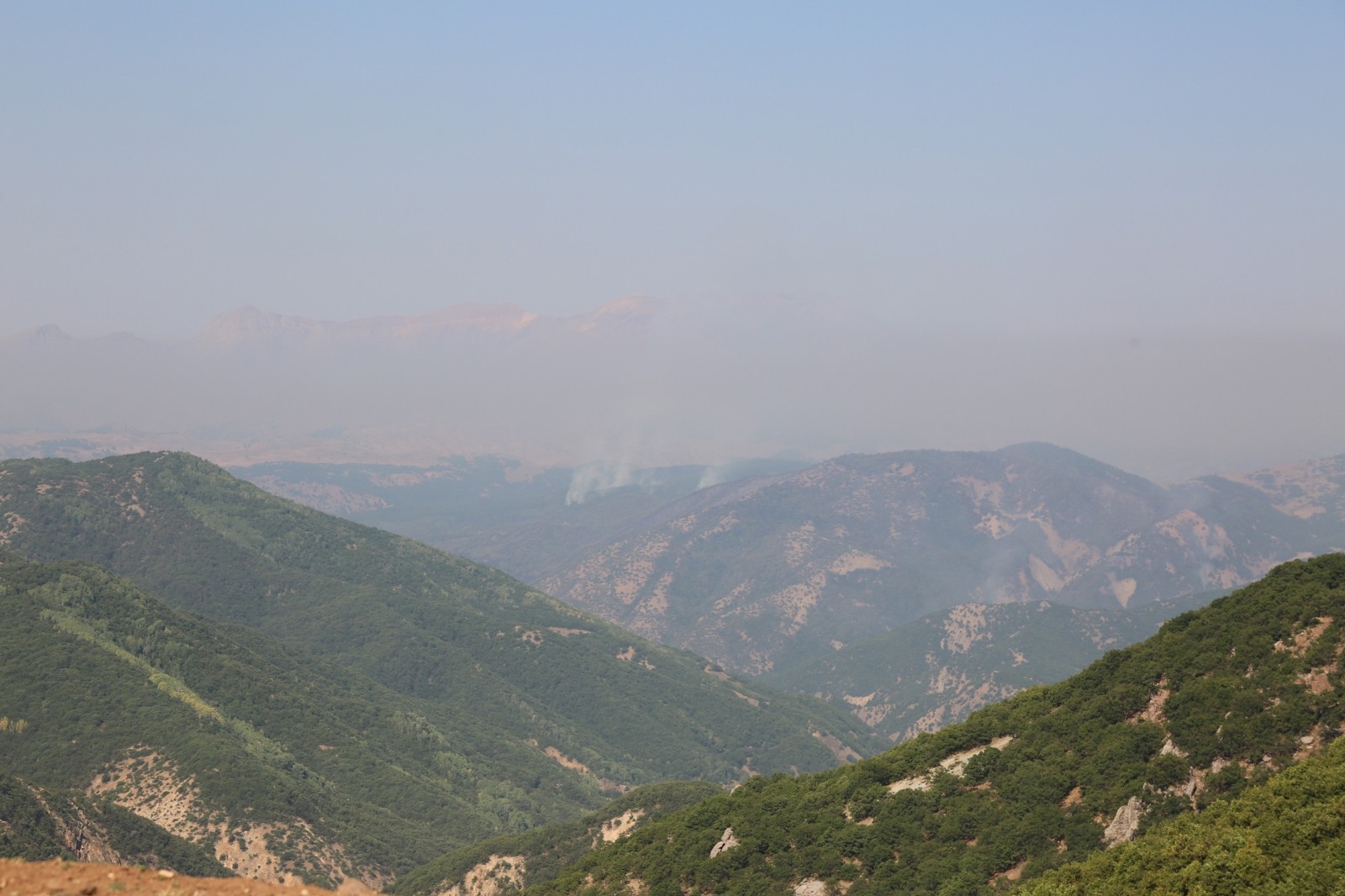 Tunceli’deki yangınlara karadan ve havadan müdahale sürüyor