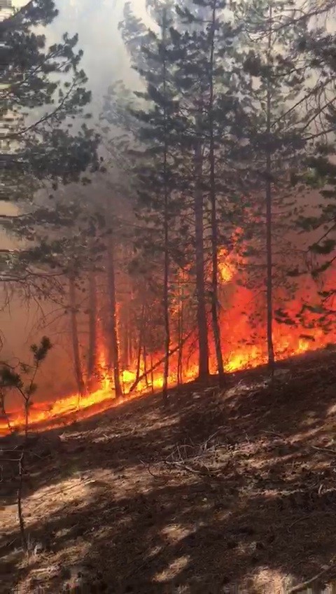 Sarıkamış Ormanları’nda korkutan yangın, ekiplerin müdahalesi sürüyor
