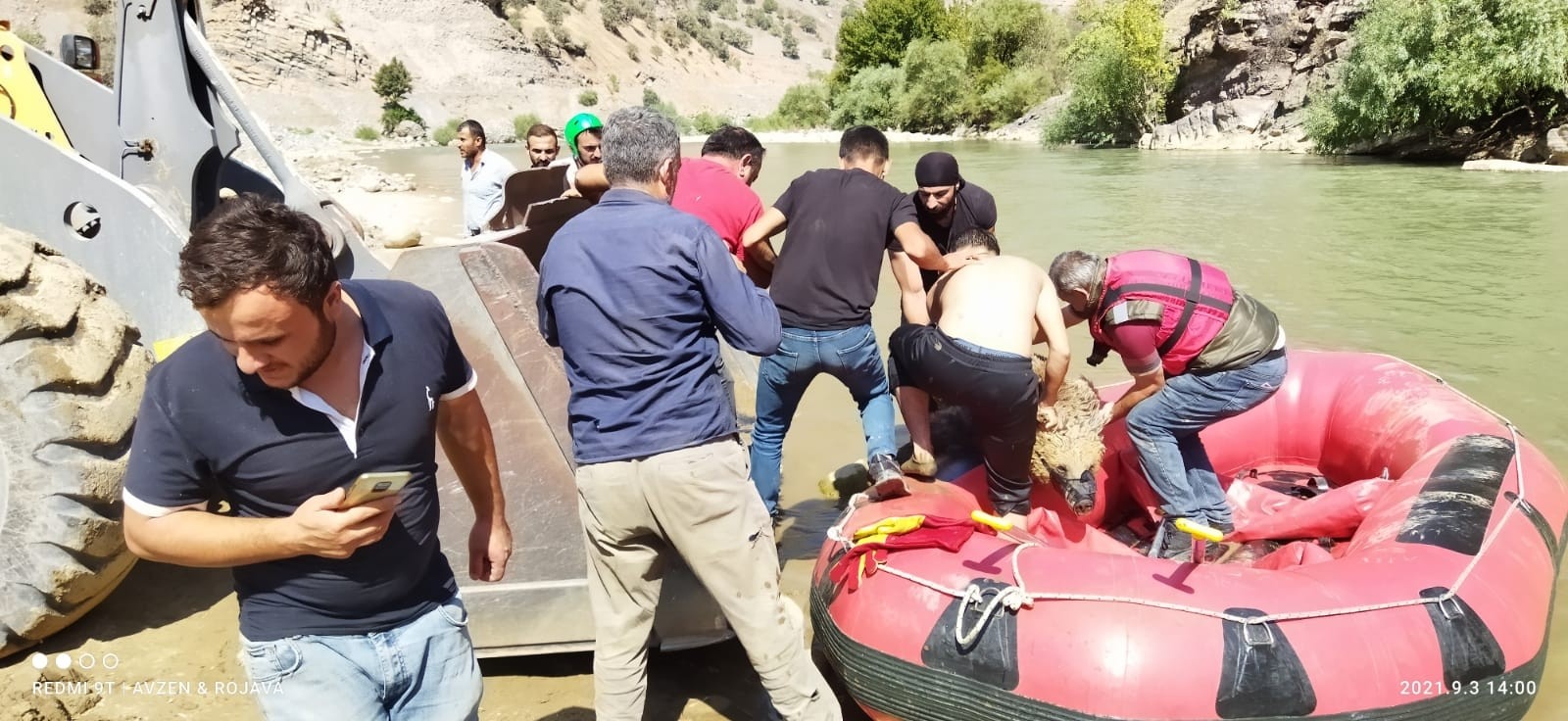 Yaralı ayı botla Zap Suyu’nun karşı tarafına geçirilerek Van’a sevk edildi Yaralı ayı botla Zap Suyu’nun karşı tarafına geçirilerek Van’a sevk edildi