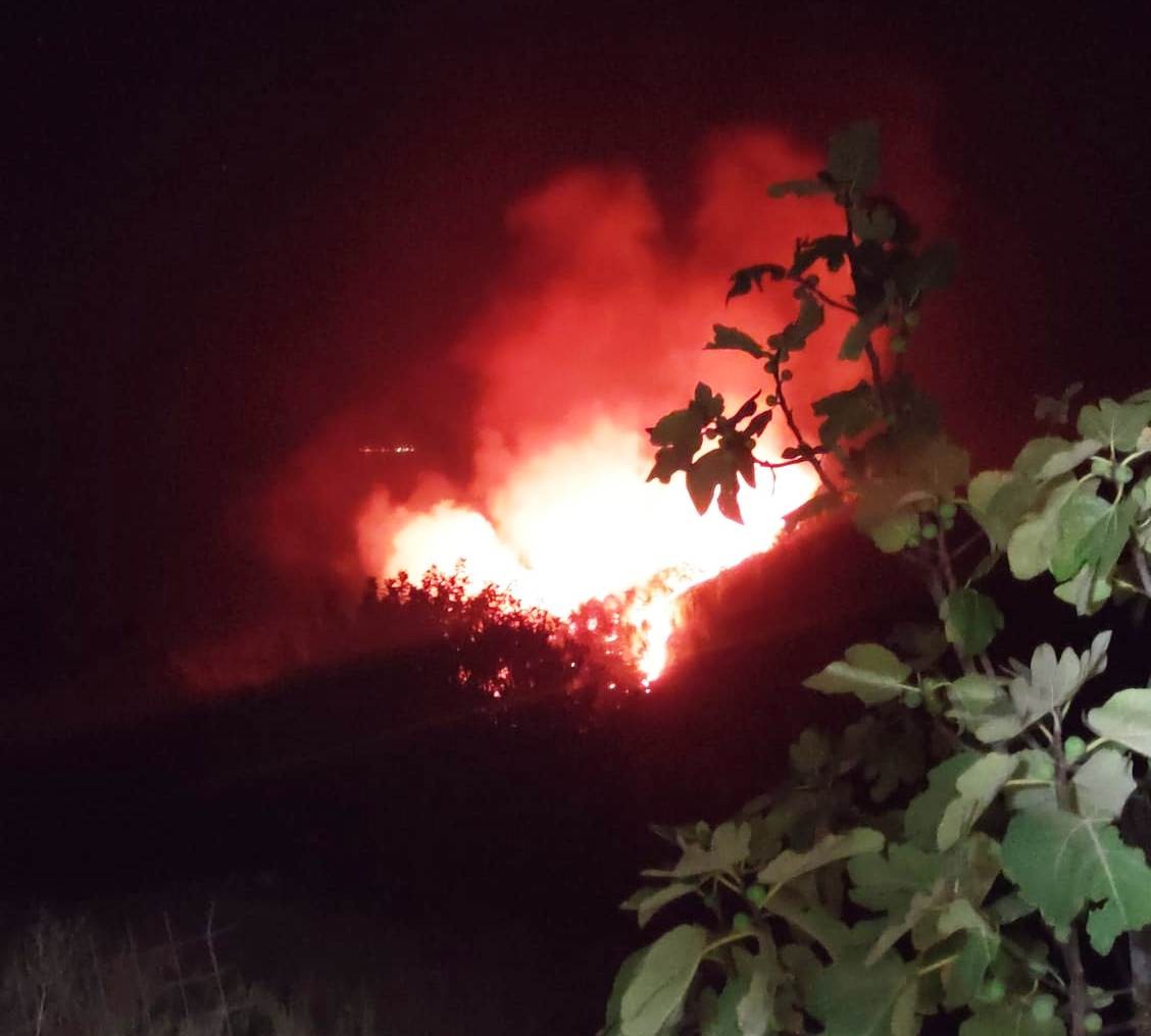 Bodrum’da gece çıkan orman yangını, sabah kontrol altına alındı
