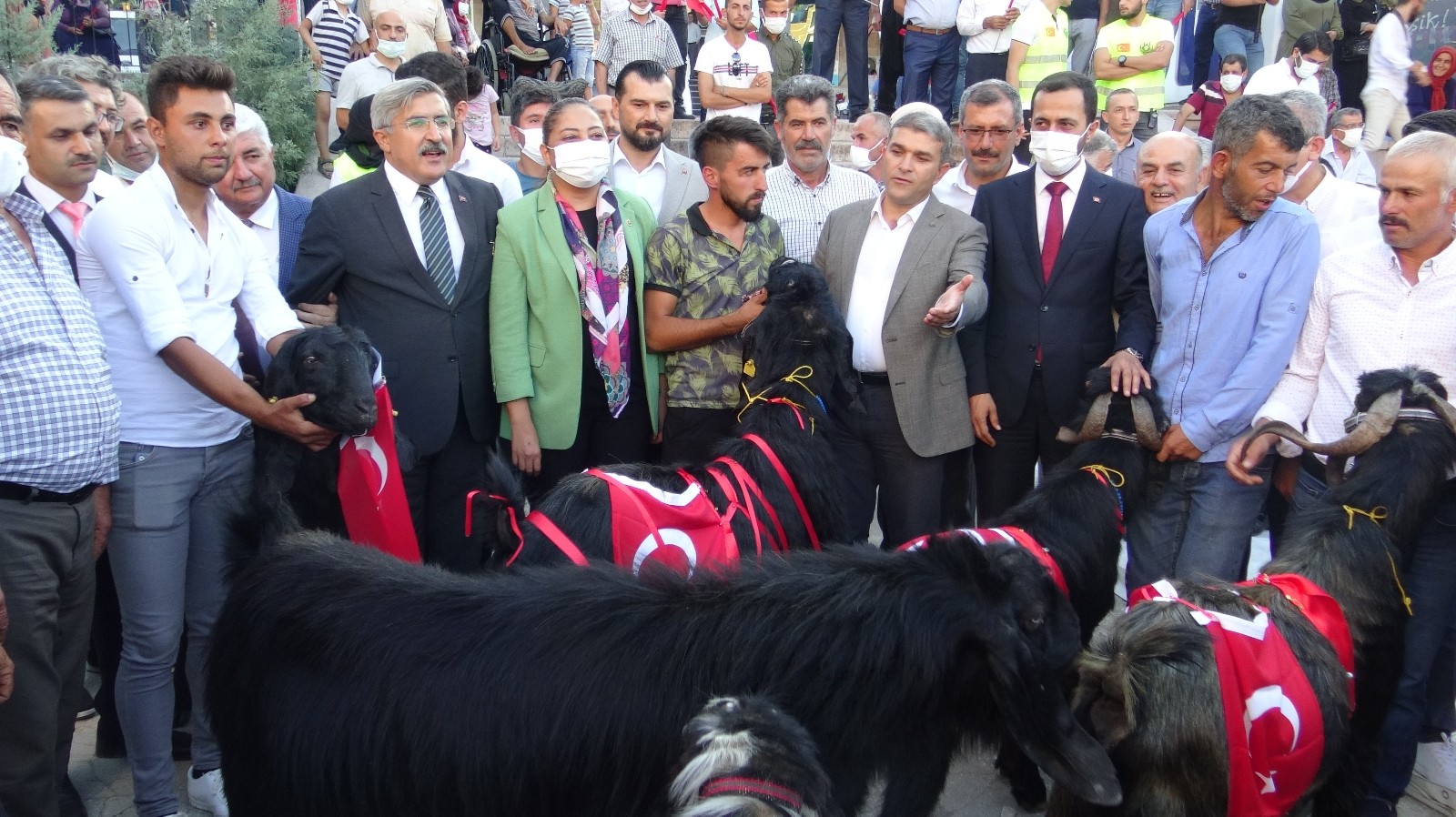 Yayladağı Çilek Festivali’nde tekeler yarıştı