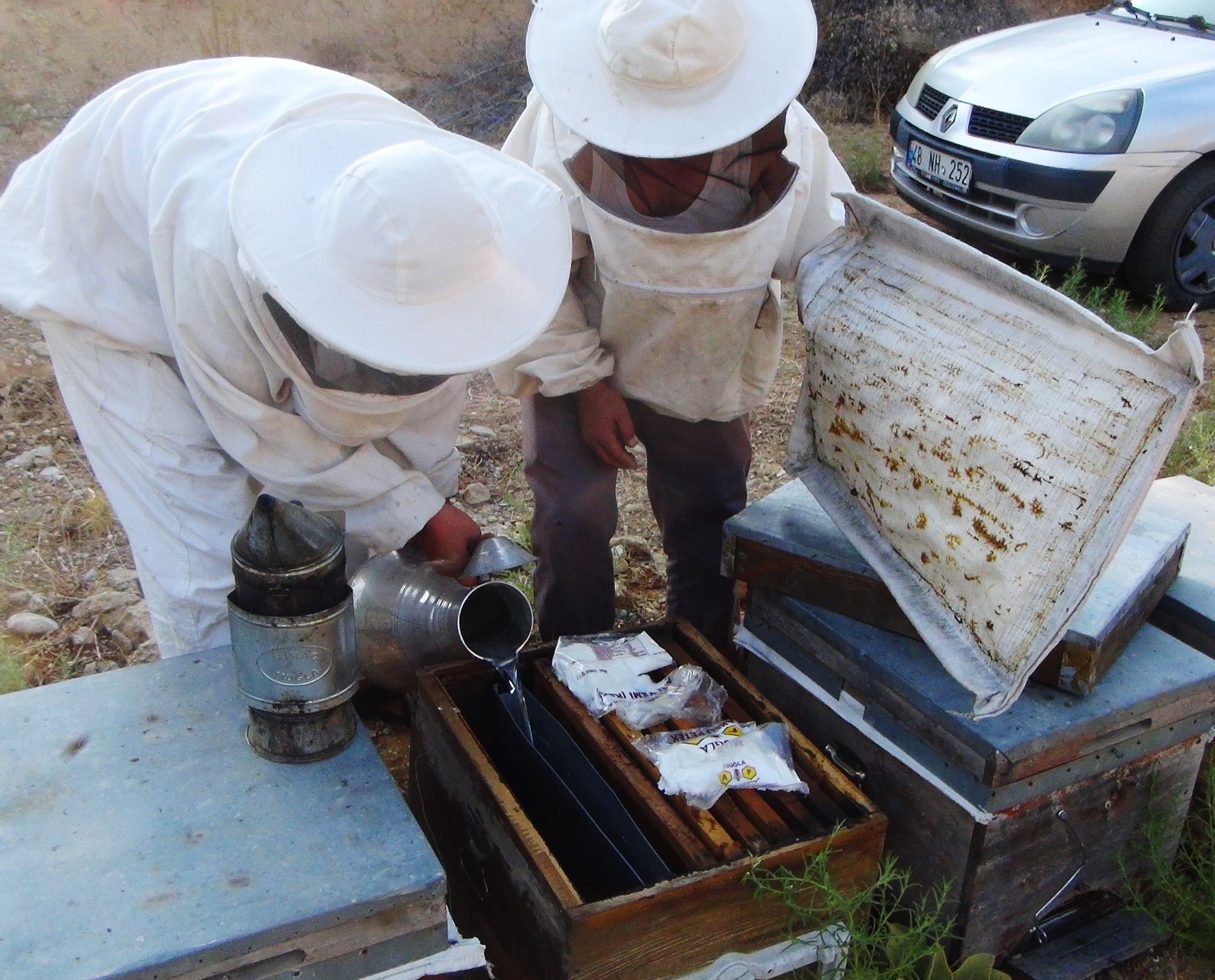 Üreticiler arıların ölmemesi için mücadele veriyor