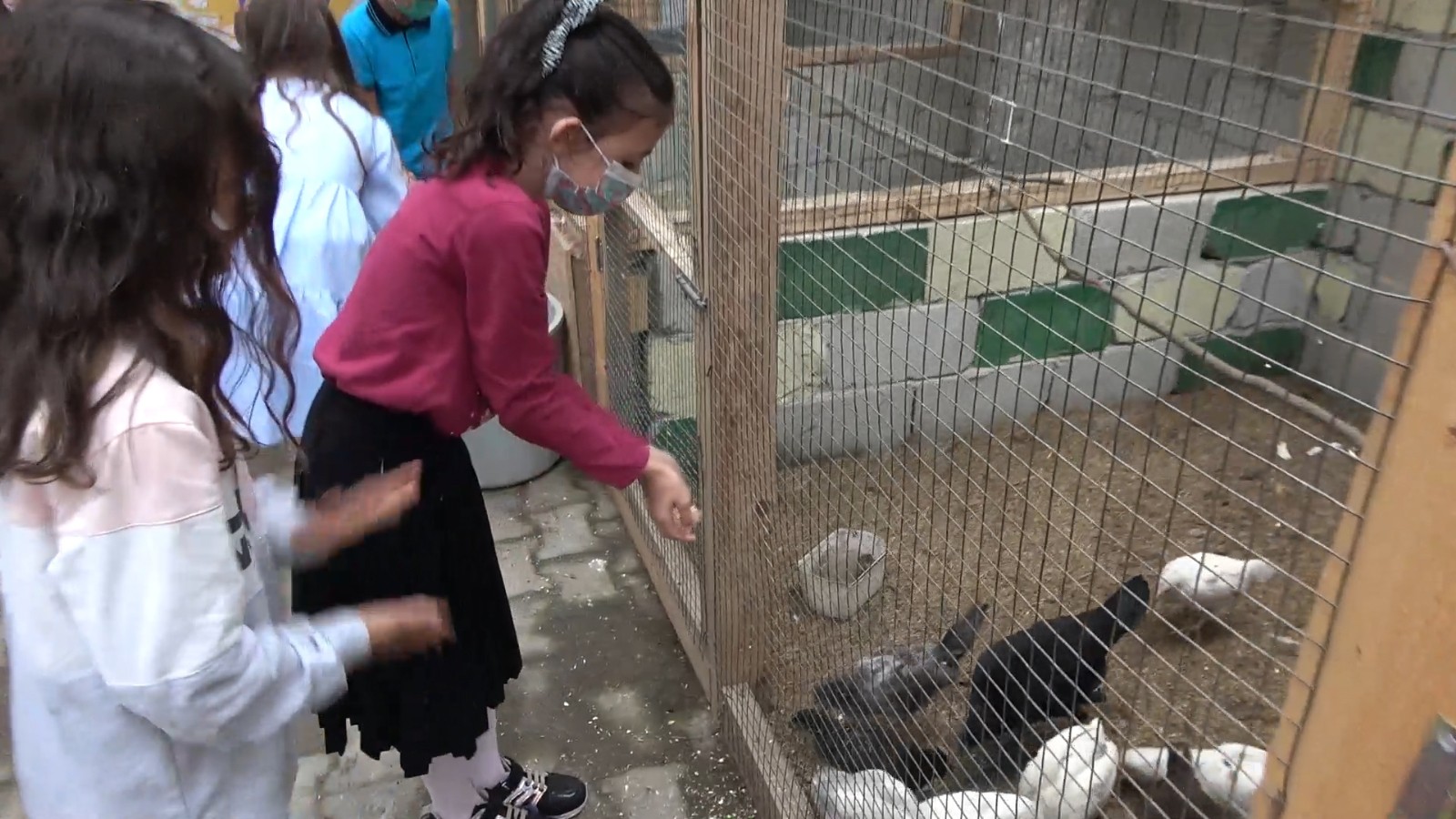 Çocuklar hayvan sevgisiyle büyüsün diye okula mini bir hayvanat bahçesi yaptılar
