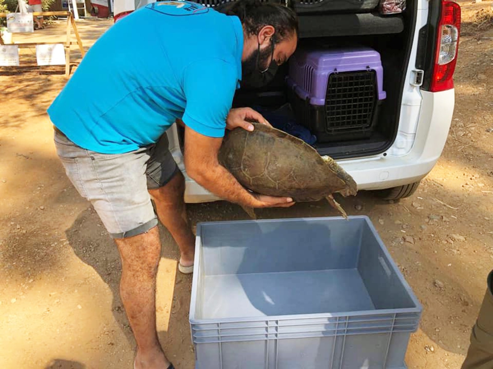 Marmaris’te yaralı yeşil deniz kaplumbağası bulundu