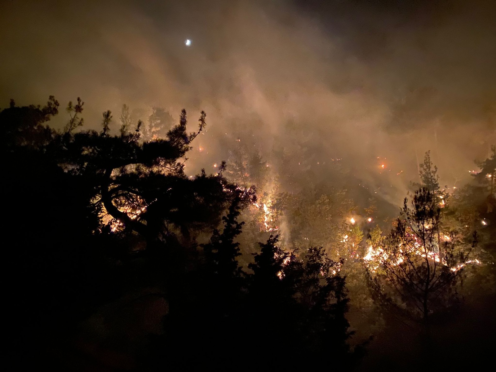 Uşak’ta çıkan yangında 2.5 hektar alan kül oldu