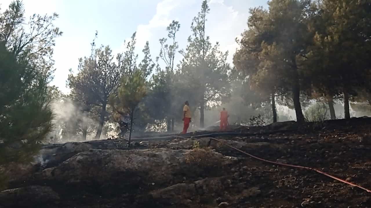 Kozan’daki Hatıra Ormanı’nda yangın