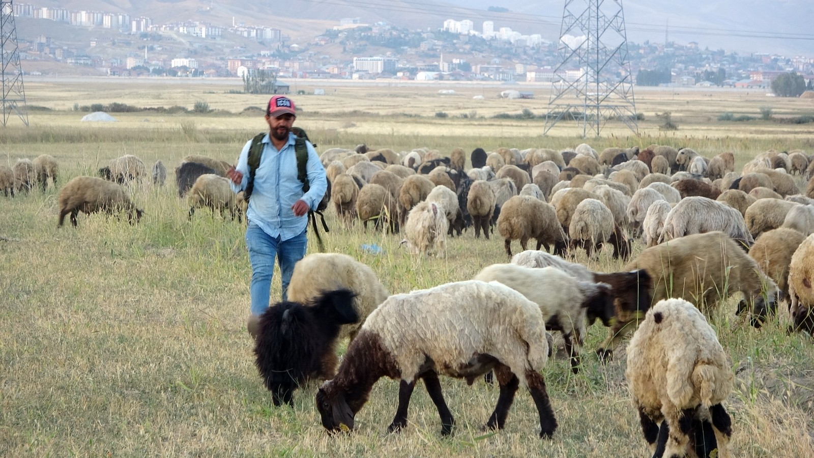 Yüksekova’da etkisini sürdüren kuraklık çobanları da vurdu #hakkari Yüksekova’da etkisini sürdüren kuraklık çobanları da vurdu #hakkari