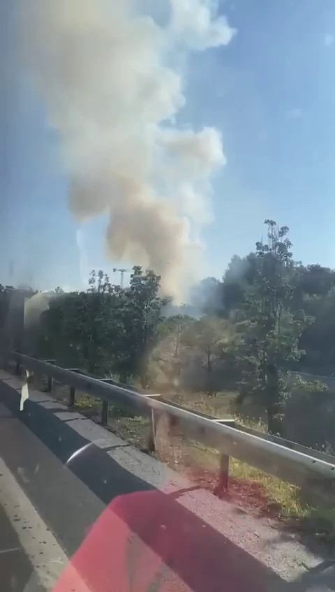 Üsküdar’da ağaçlık alanda korkutan yangın