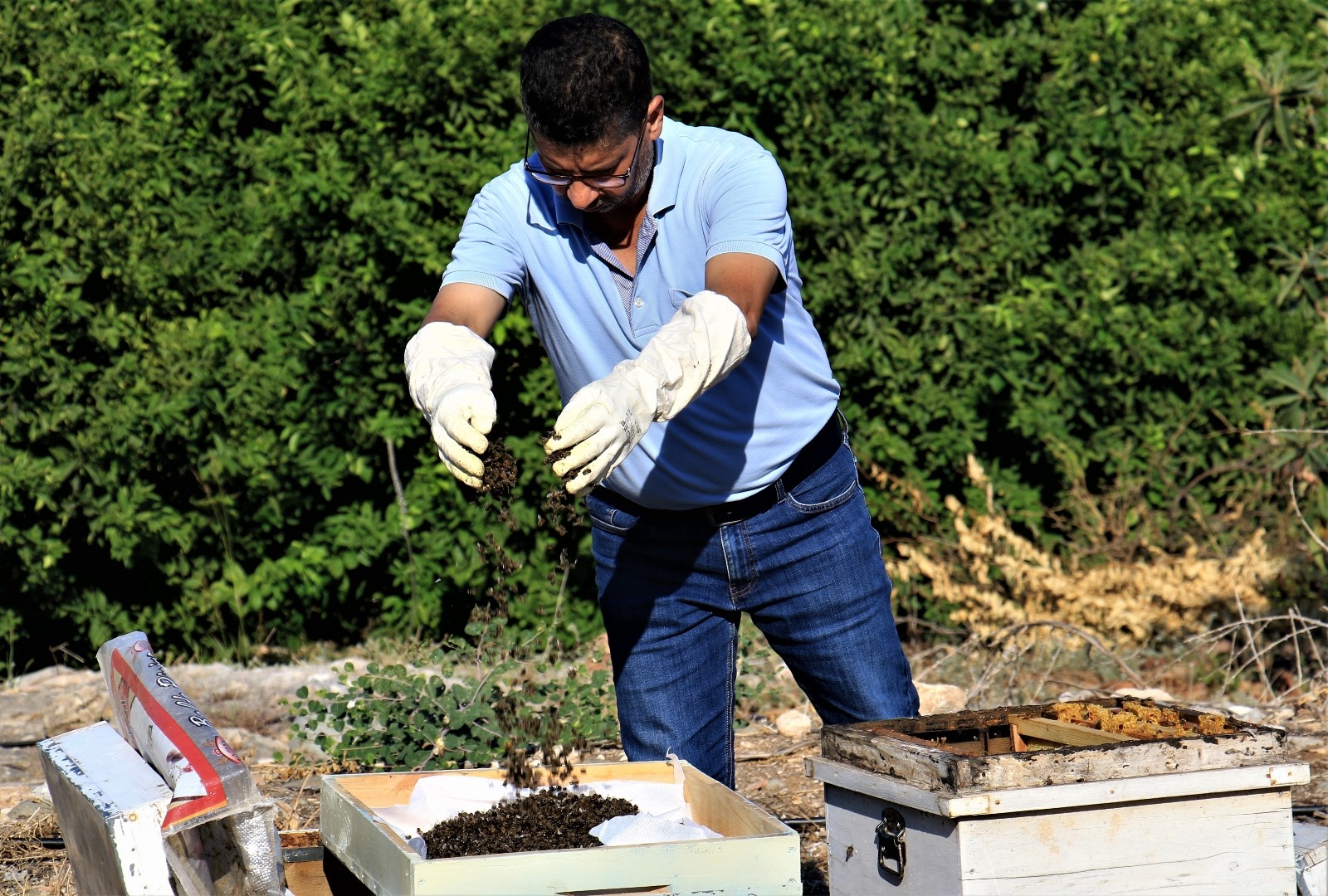 1 milyondan fazla arısı zehirlendi, ”Hepsini çalsalar canım bu kadar yanmazdı”