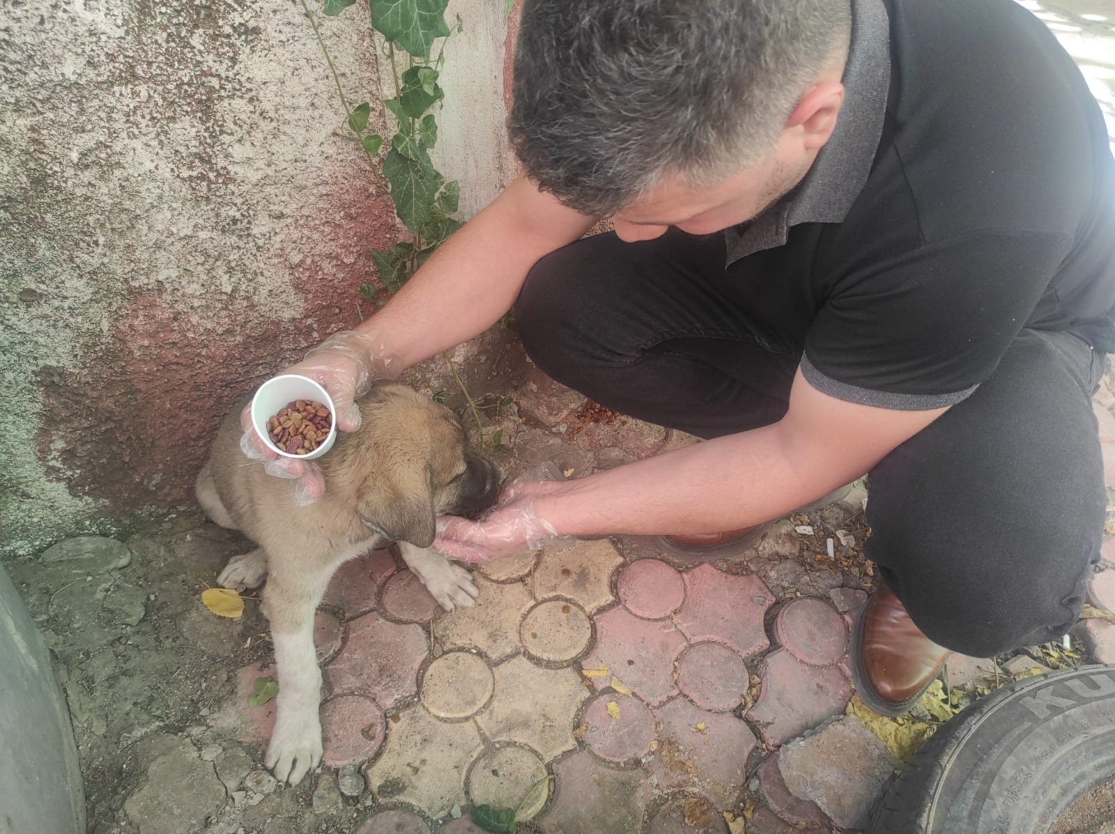 Yaralı yavru köpeği kurtarmak için 70 kilometre yol katetti #batman