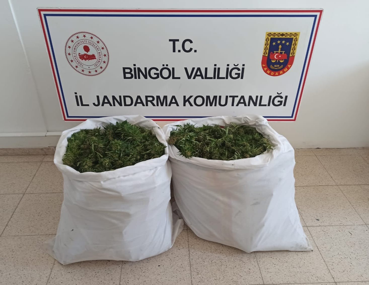 Bingöl’de bin 473 kök kenevir ile 23 kilo skunk ele geçirildi #bingol