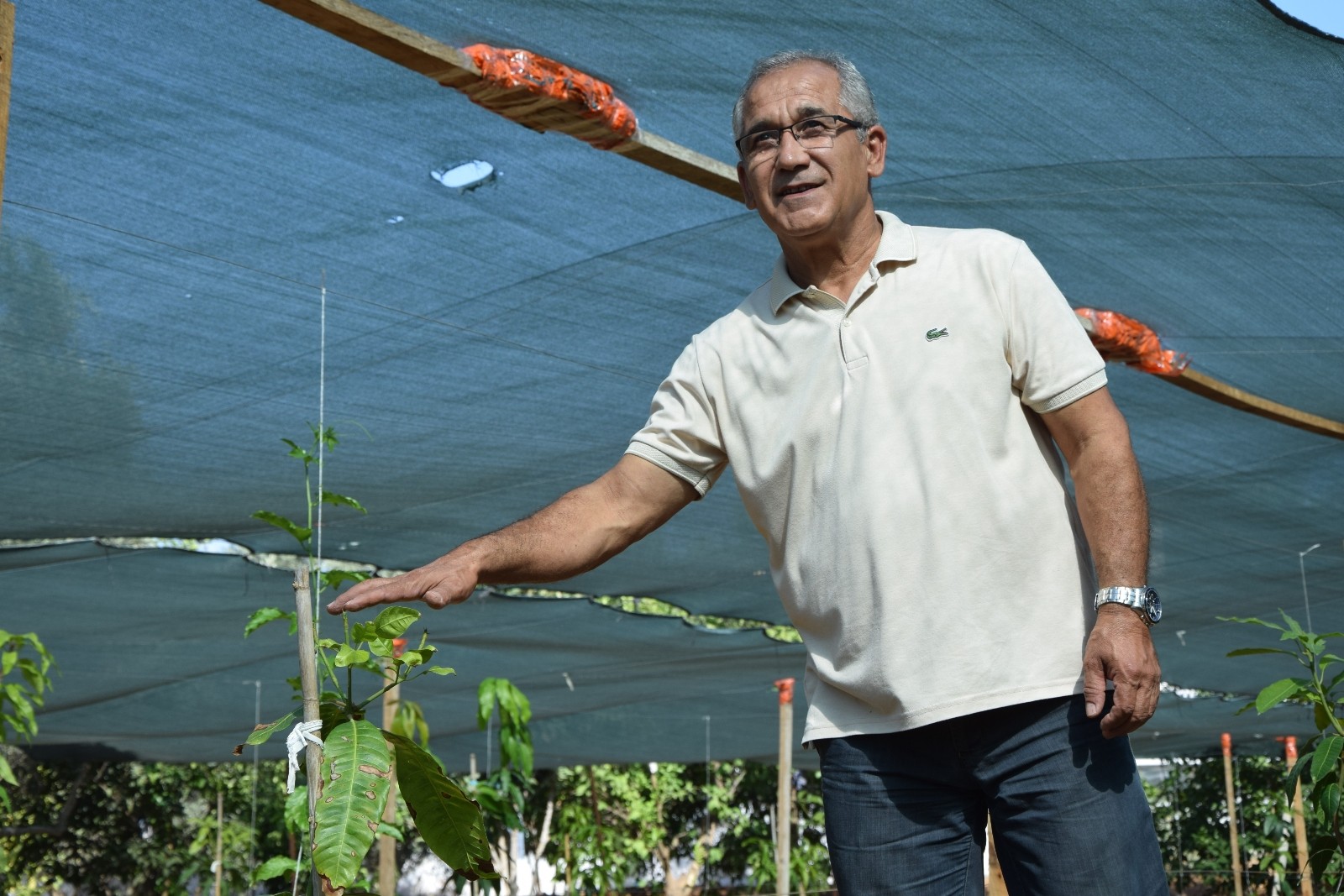 Emekli okul müdüründen tropikal meyve bahçesi #antalya