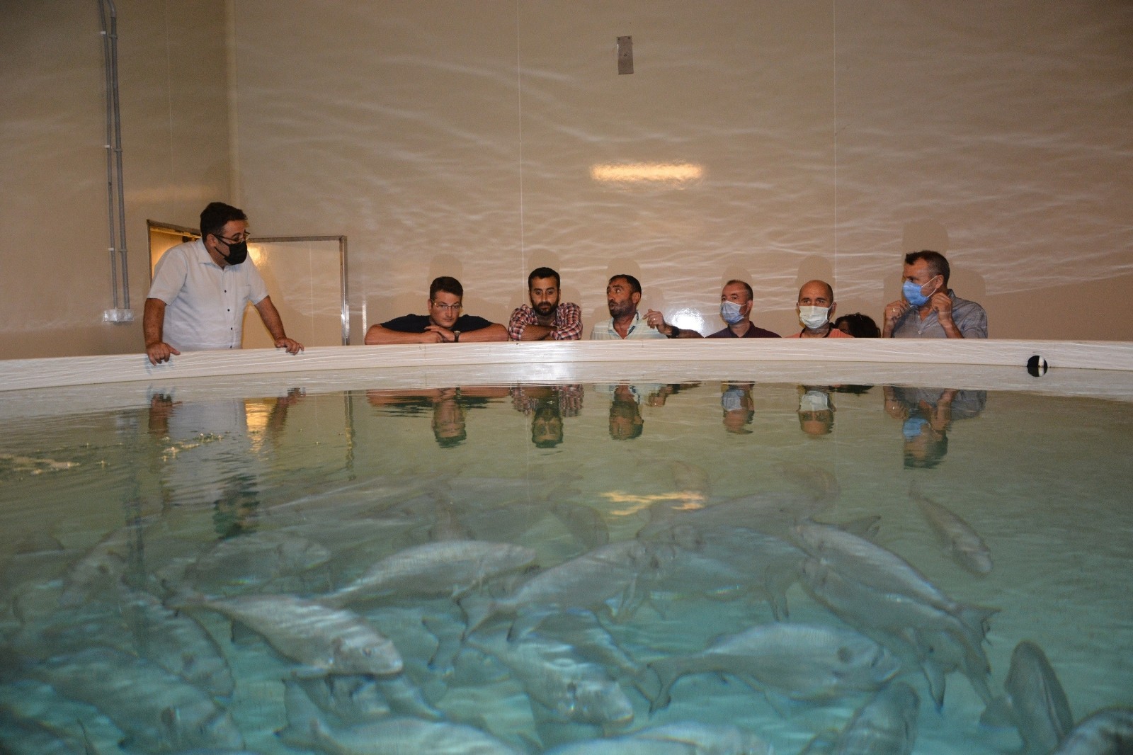 Toprak havuzda balık yetiştiren tesise teknik gezi düzenlendi #aydin