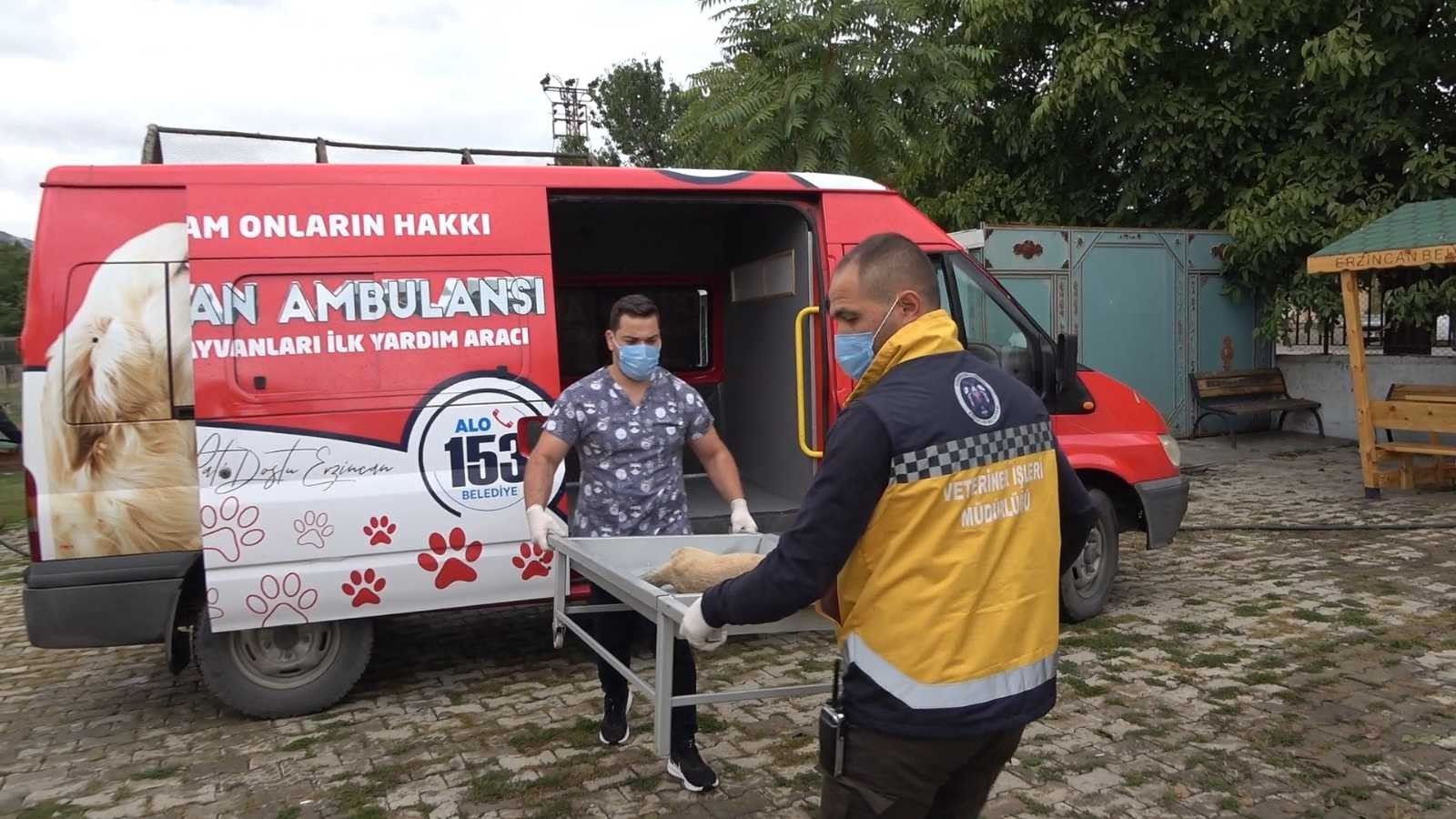 Erzincan’da ’hayvan ambulansı’ hizmete girdi #erzincan