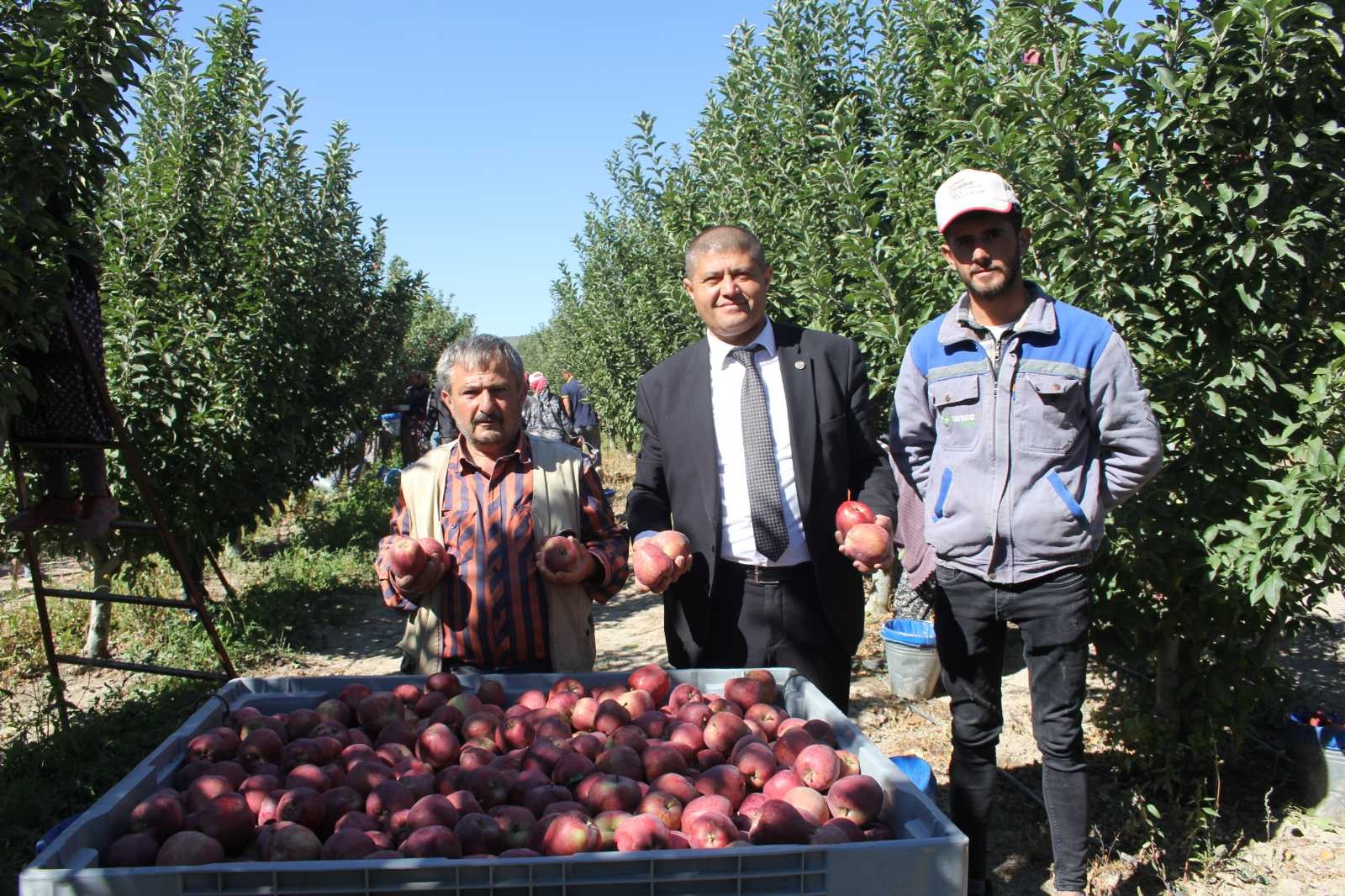 Isparta’da dalında 2,5 liraya kadar alınan elmanın büyük marketlerde 7-8 lira arasında satılmasına tepki #isparta