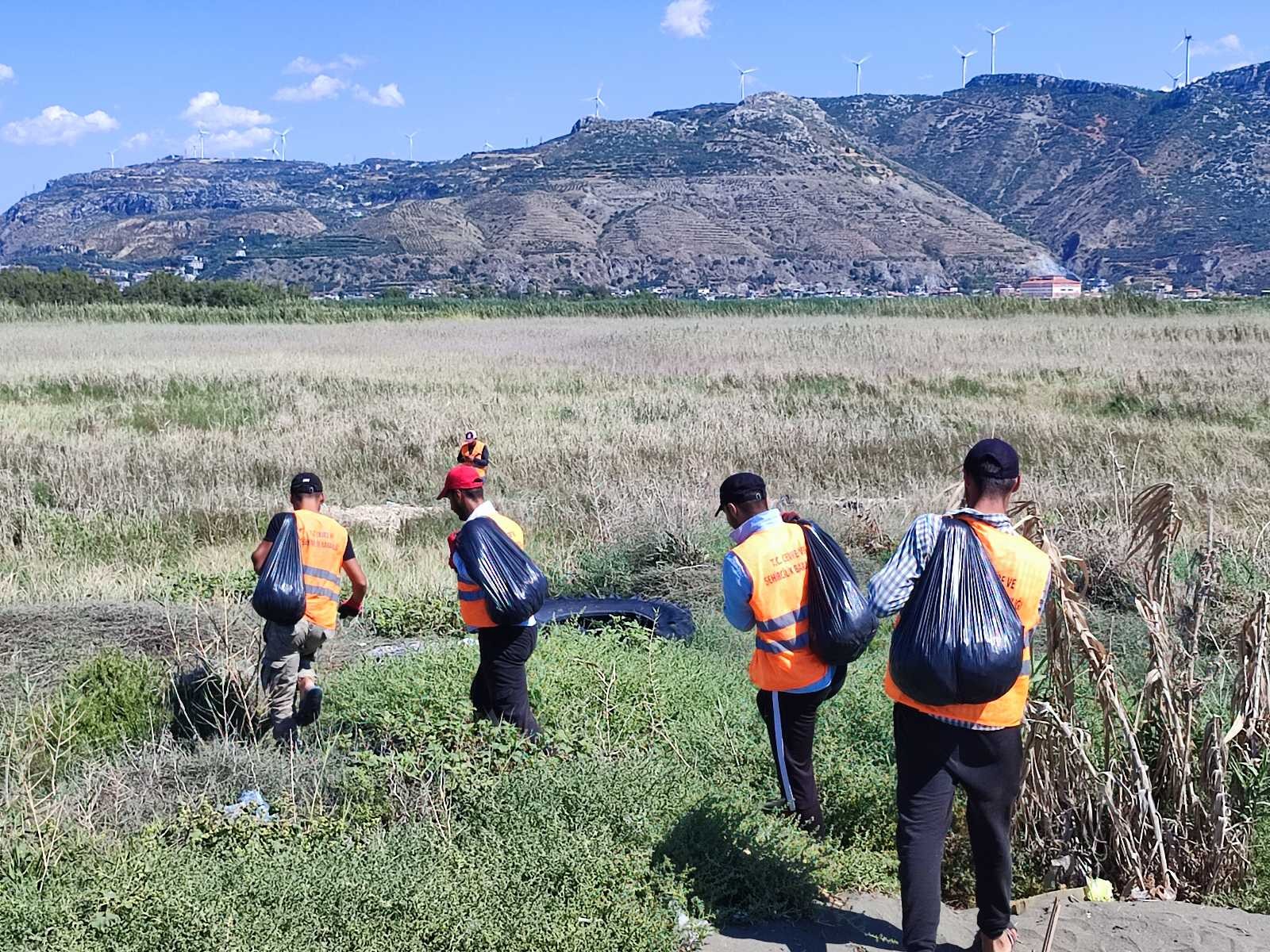 Su sümbüllerinin kapladığı sahilde petrol temizliği #hatay