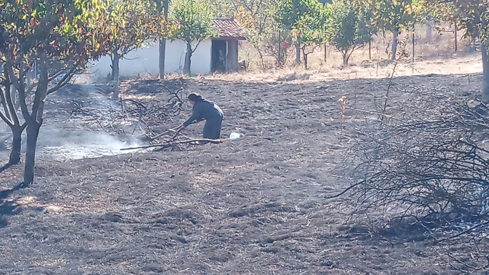 Dağ ilçesinde korkutan yangın #bursa